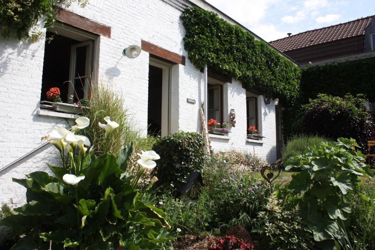 L'Atterrissage Bed & Breakfast Santes Eksteriør bilde